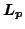 $\mbox{\boldmath $L_p$}$